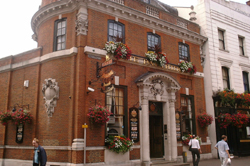 The Partridge